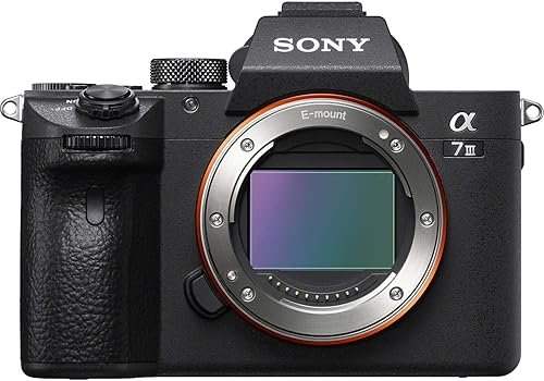 ✅ Sony Alpha a7 III Mirrorless Digital نسخة أمريكية في الخليج: آمن للاستيراد 2026